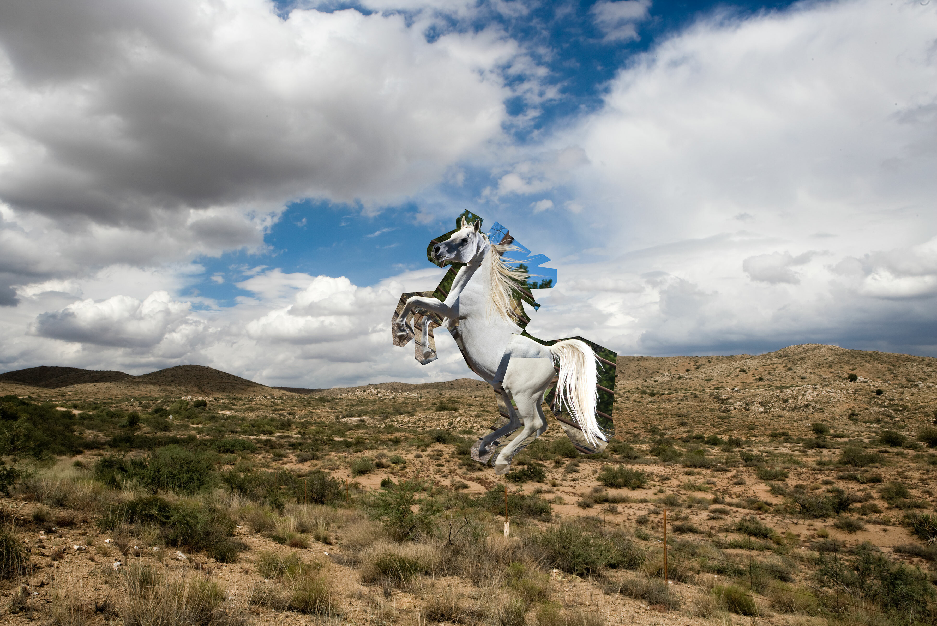 Janko ad retouch horse b