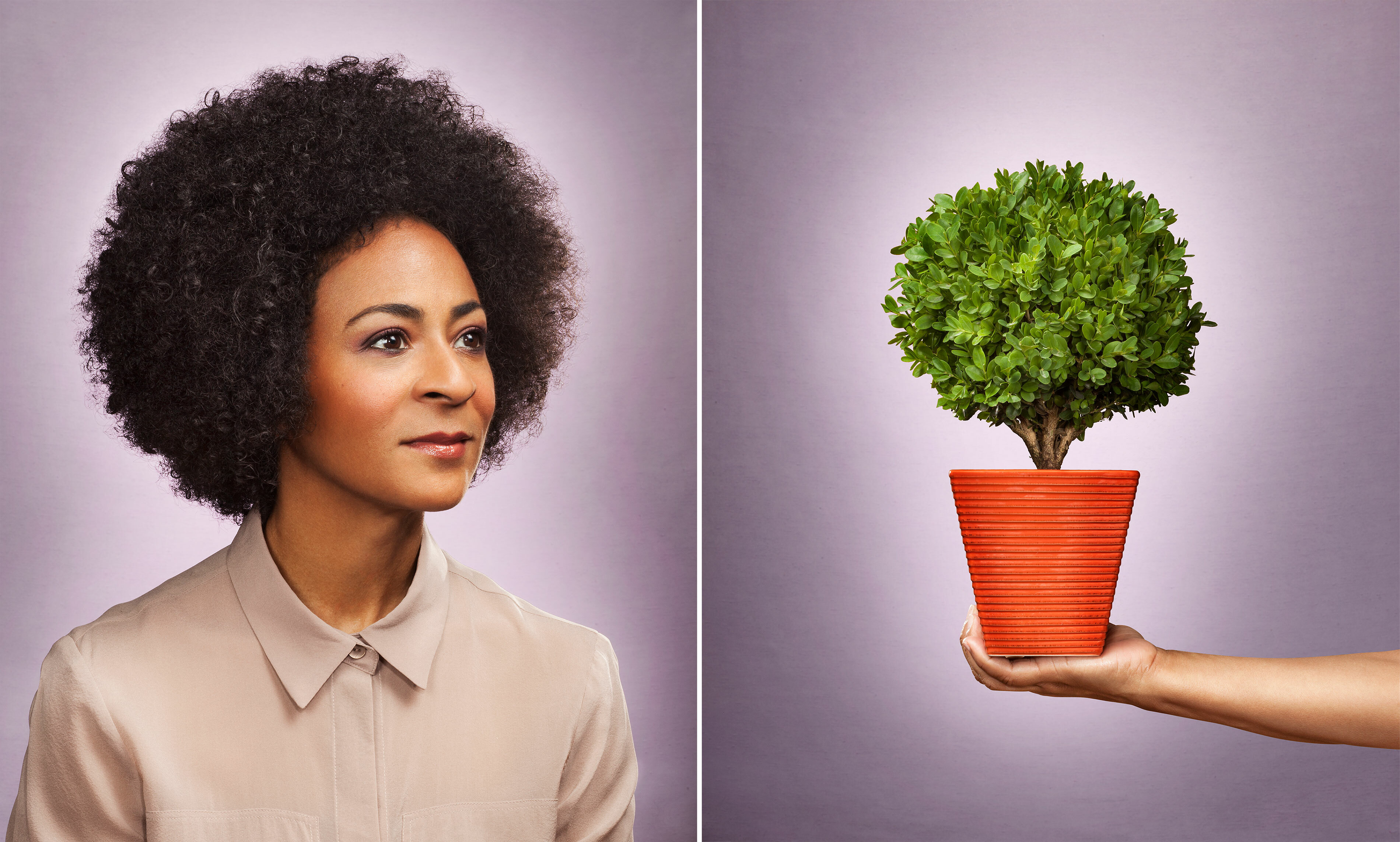 Janko ad retouch plant