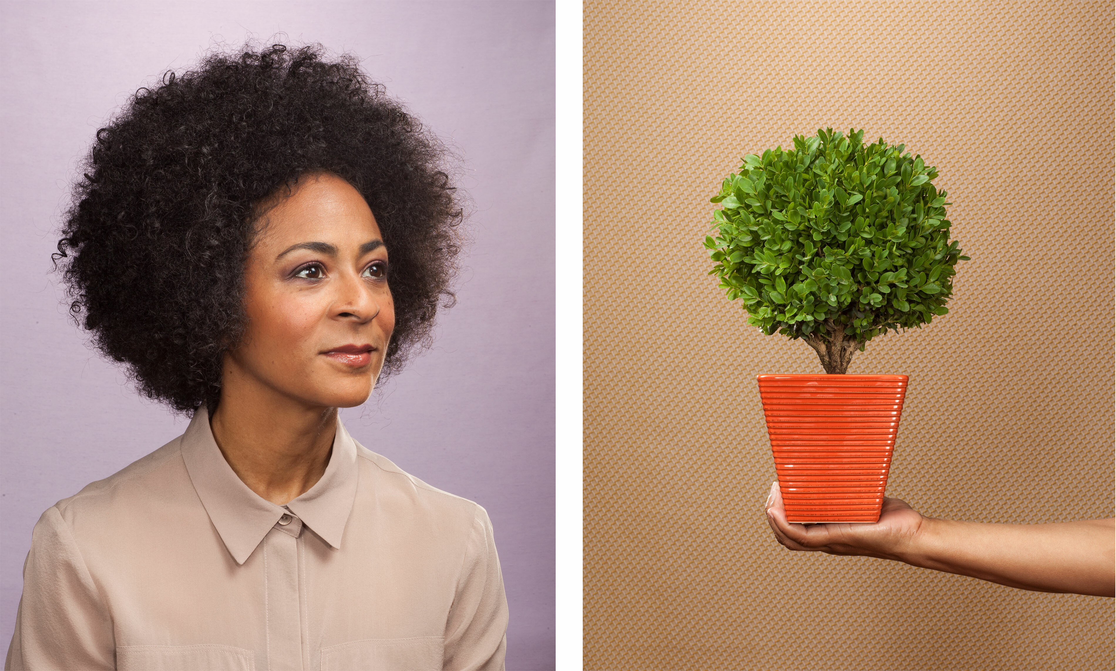 Janko ad retouch plant b