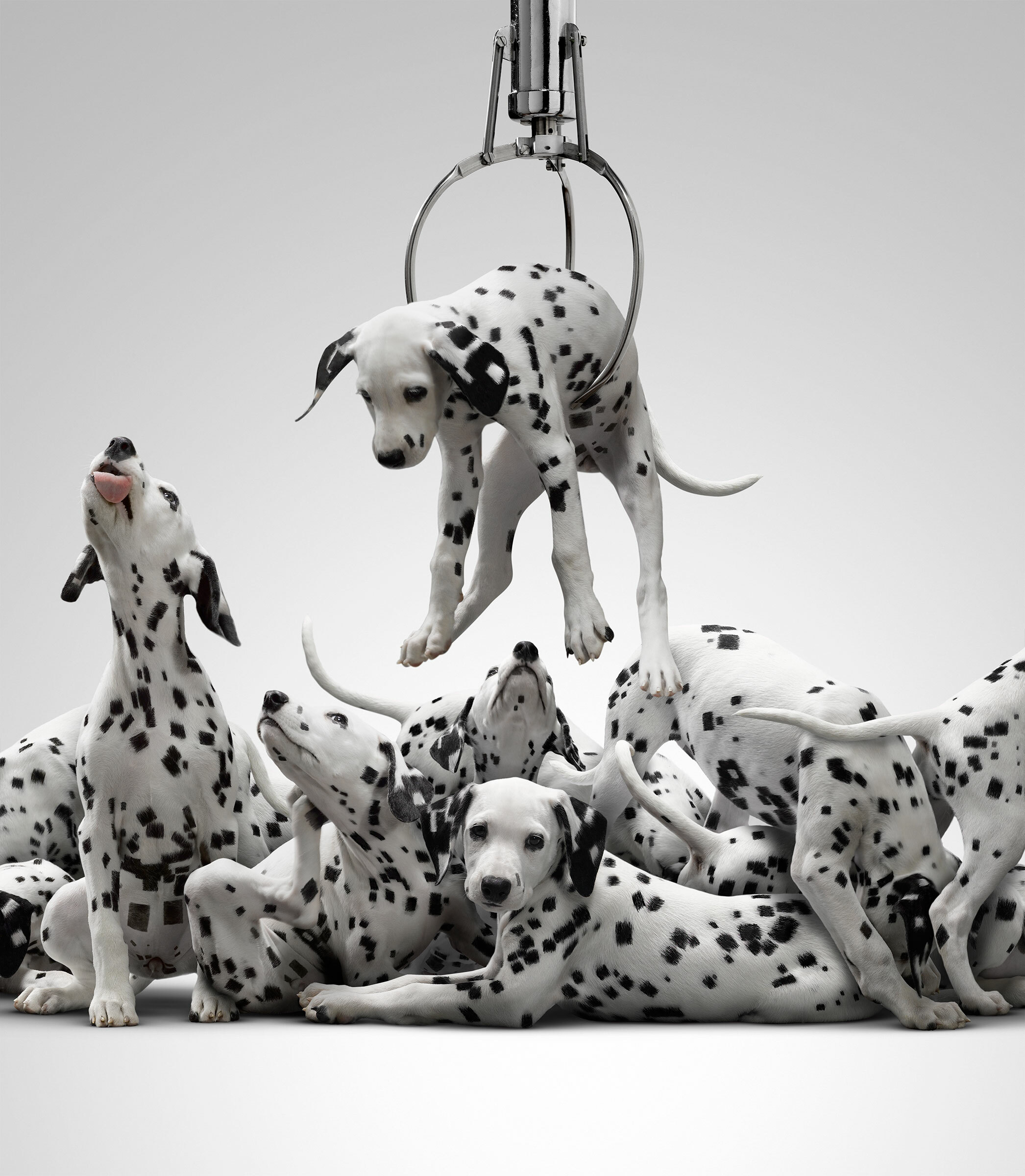 Janko ad retouch wired